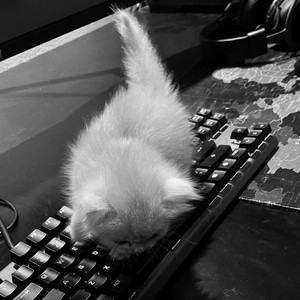 Kỷ Niệm Không Vui