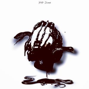 SLIME (Explicit)