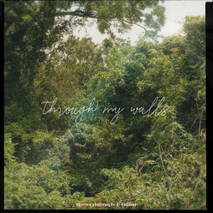 Through My Walls