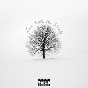 Love Kills So Slowly (Explicit)