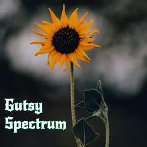 Gutsy Spectrum