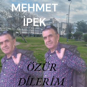 Özur dilerim