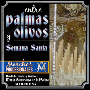 Entre Palmas y Olivos. Semana Santa. Marchas Procesionales