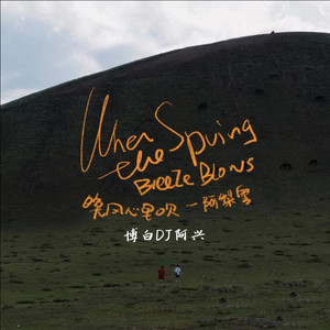 晚风心里吹 (博白DJ阿兴 remix)