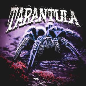 Tarántula (Explicit)