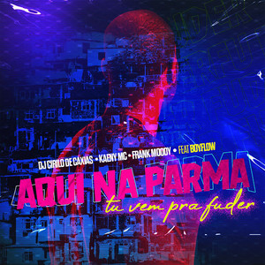 Aqui Na Parma Tu Vem Pra Fuder (Flow Vision 1)