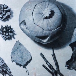 为了糖！魔女们！攻城！！