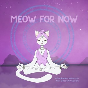 Meow for Now - A 1 Minute Meditation with Macatma Gandhi (feat. Macatma Gandhi)