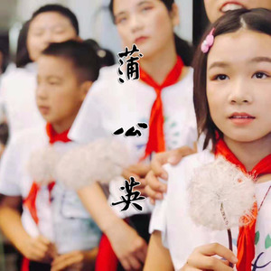 蒲公英