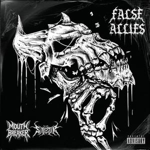 FALSE ALLIES (Explicit)