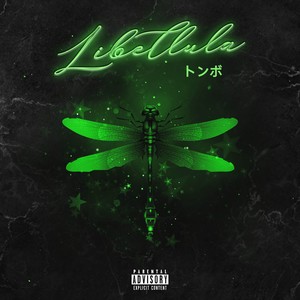Libellula (トンボ) (Explicit)