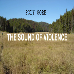 The Sound of Violence