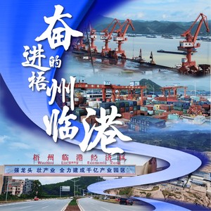 奋进的梧州临港 (伴奏)