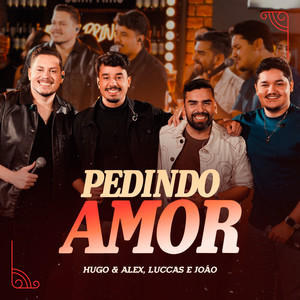 Pedindo Amor (Ao Vivo)
