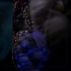 Early, in the Garden