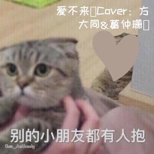 爱不来封面