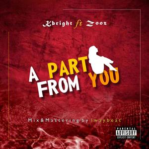 A part from you (feat. Zooz) (Remix|Explicit)