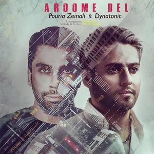 Aroome Del (feat. Pouria Zeinali)