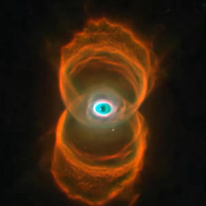 Fake Xanz (Explicit)