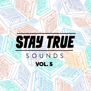 Stay True Sounds Vol. 5