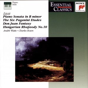 Grandes Etudes de Paganini - Grandes Études de Paganini, S. 141: No. 3 in G-Sharp Minor. Allegretto 