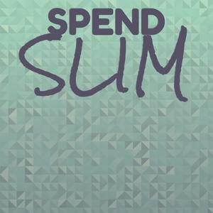 Spend Slim