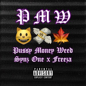 PMW (feat. Freeza The King) [Explicit]