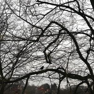 HOT (Hexd On Top) (Explicit)