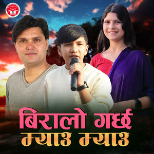 Biralo garchha Meow Meow