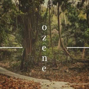 think i saw u in a dream