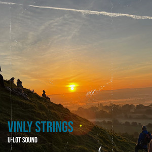 Vinly Strings