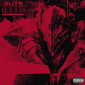 GUTS (Explicit)