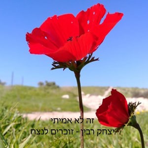 זה לא אמיתי