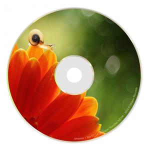 Time To Move On (Original Mix)