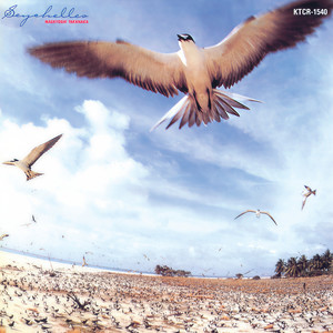 憧れのセーシェル諸島