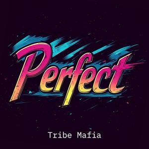Perfect (feat. CaynJames) (Explicit)
