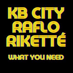 What You Need (Stefano Pain & Discoplex Extended Remix)