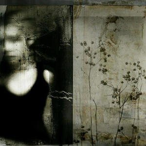 i dnt wna (feat. gothrose)