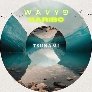 Tsunami (feat. Haribo) [Explicit]