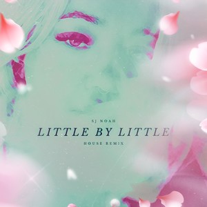 Little By Little (House Remix)