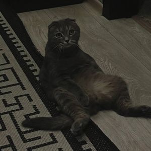 3 часа (Explicit)