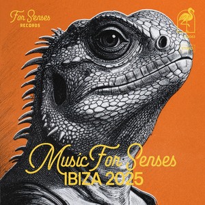 Planeta Cercano (GORKIZ Remix)