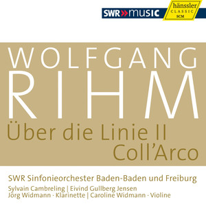 Musik für Klarinette und Orchester, 