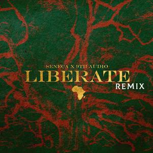 Liberate Remixes