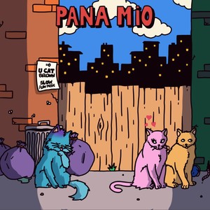 Pana Mio (feat. SlowFlowMusic) [Explicit]