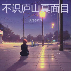 不识庐山真面目