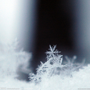 那年的雪