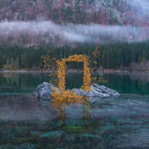 If (feat. Milan Ring) (Explicit)