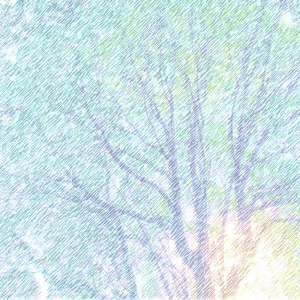 一场大雨过后的宁静