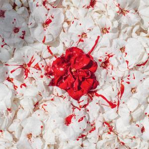 ROSE ÉCARLATE (feat. IBVN) (Explicit)